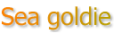 Sea goldie

