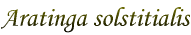 Aratinga solstitialis