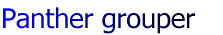Panther grouper
