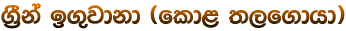 .%Ska b.=jdkd ^fld< ;,f.dhd&
