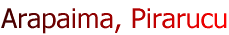 Arapaima, Pirarucu