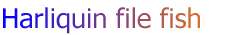 Harliquin file fish
